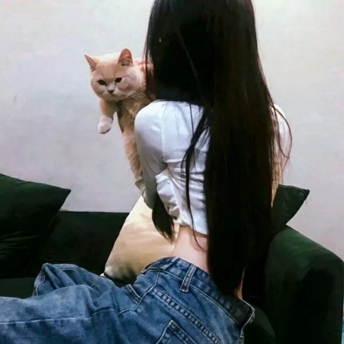 类人猿行动