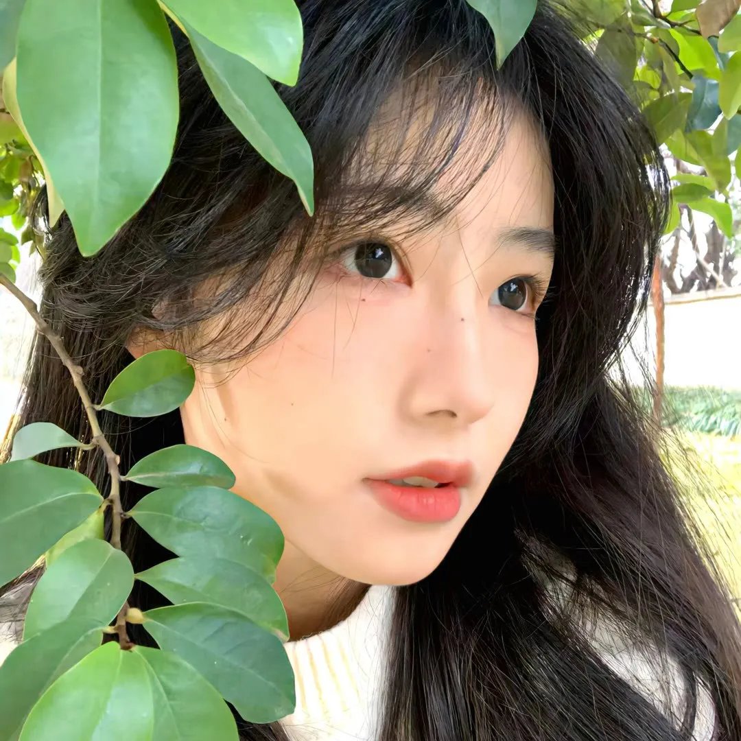 小鱼